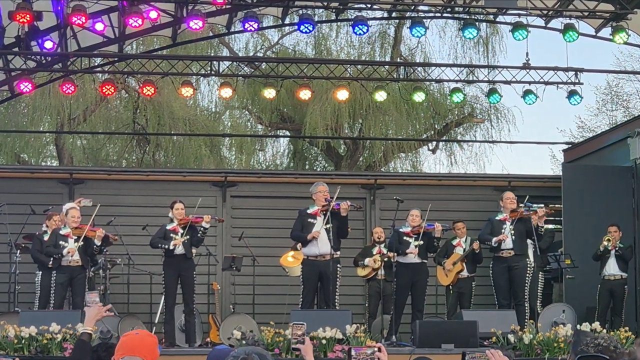 Video: Cascabel – Mariachi Fiesta México